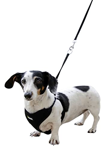 kerbl-pet-harnais-pour-chiots-noir-24-44-cm-10-mm-lot-de-3 image 7
