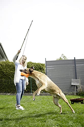 kerbl-canne-p-che-alu-t-lescopique-pour-chien-47-130-cm-noir image 7