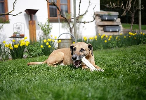 kerbl-pet-cigarillo-m-cher-peau-de-b-uf-25cm-180g image 5
