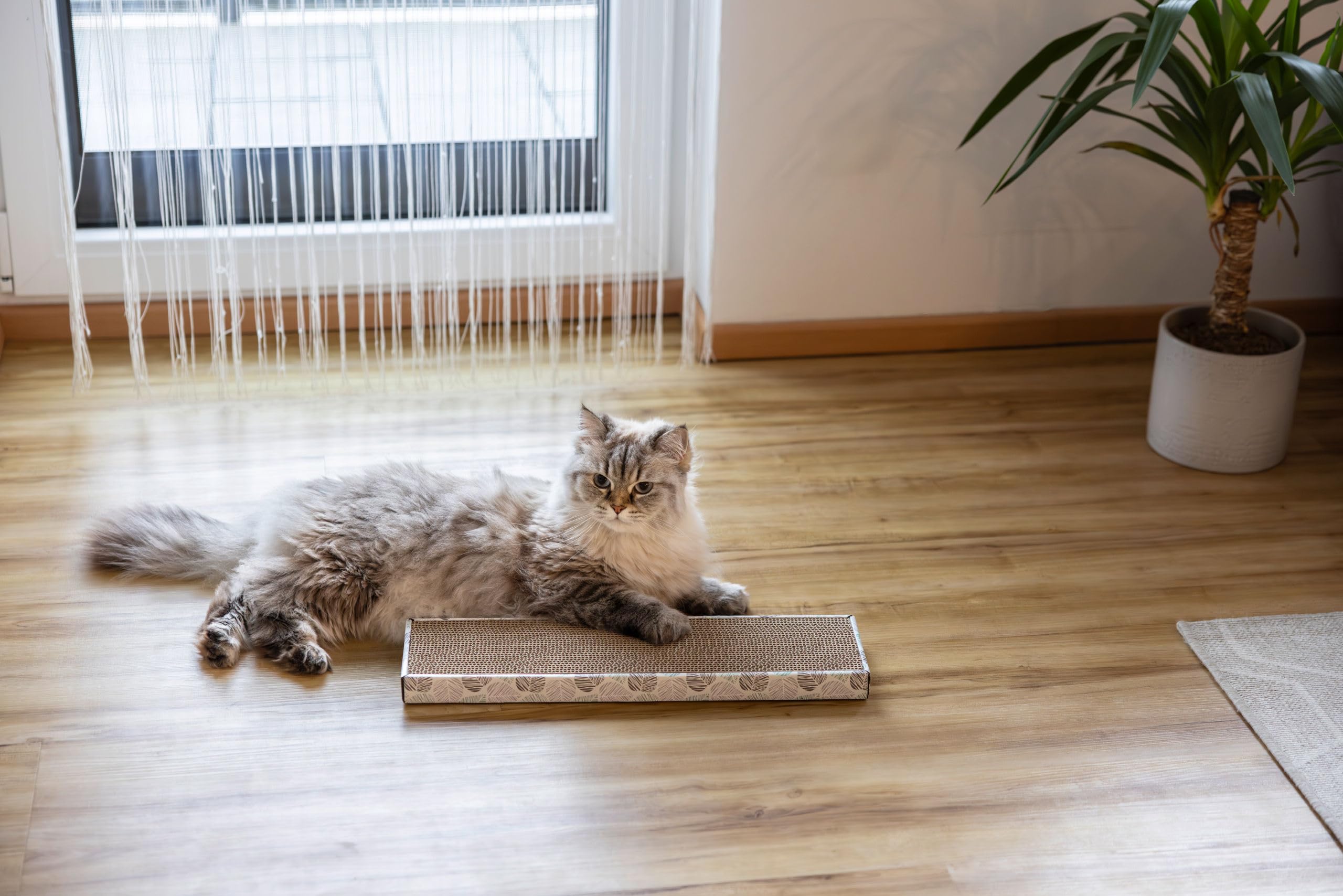 kerbl-pet-flat-planche-gratter-pour-chat-46-x-12-x-3-cm-carton-ondul-recycl image 3