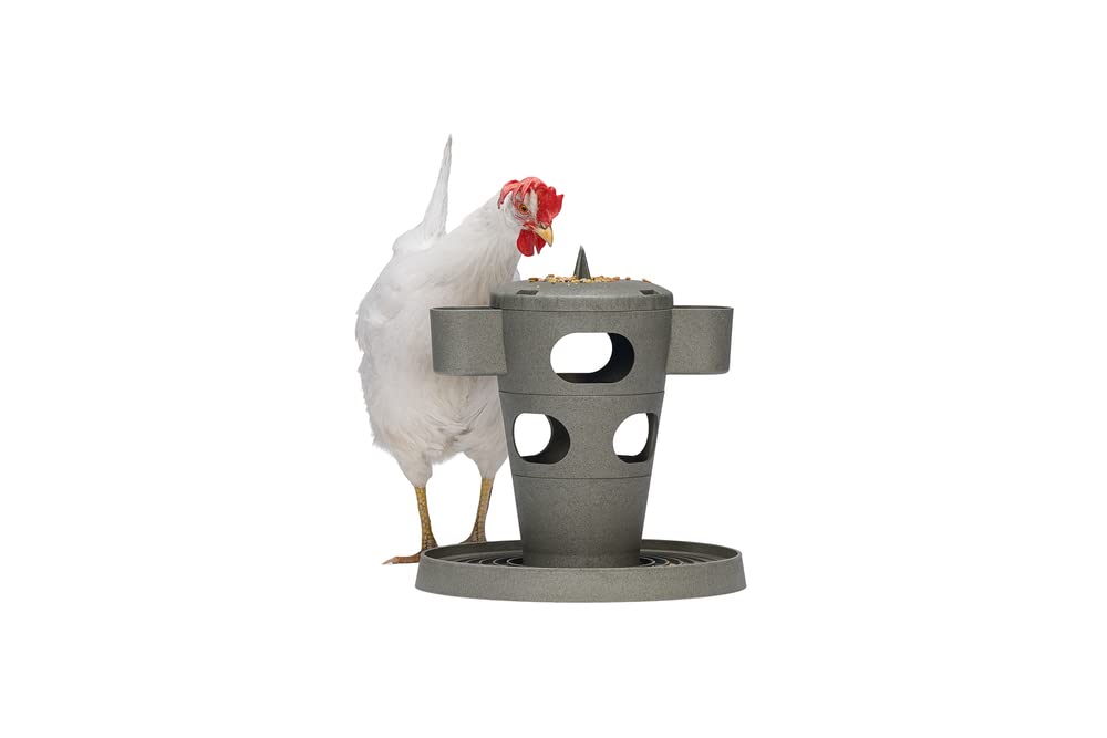 karlie-beeztees-tour-go-ter-pour-poules-gris-30-x-30-x-32-5-cm image 1