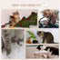 pawhut-tag-res-murales-pour-chat-4-pi-ces-avec-hamac-perchoirs-et-griffoir-beige image 8