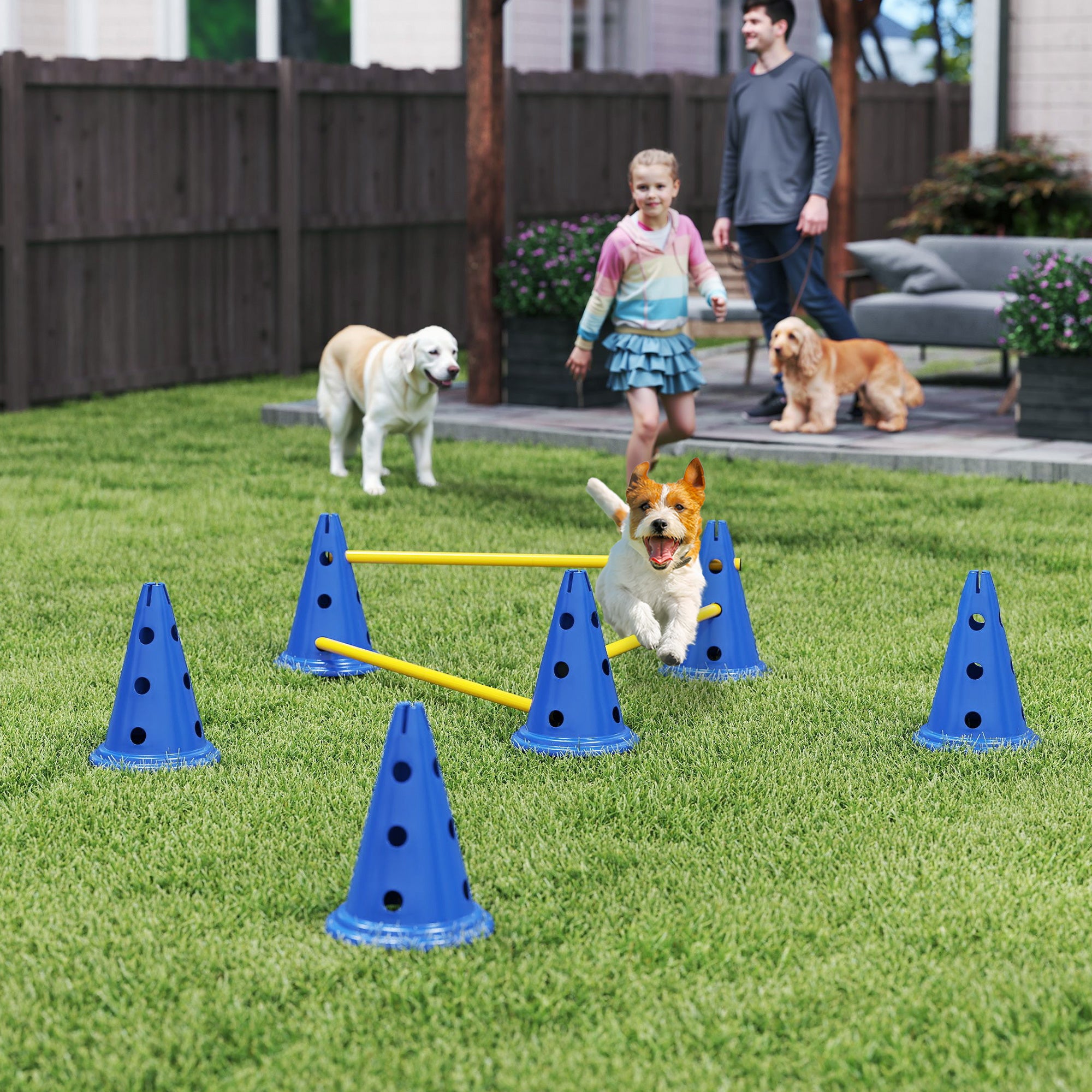 pawhut-kit-agility-chien-3-haies-r-glables-avec-sac-de-transport-bleu image 3
