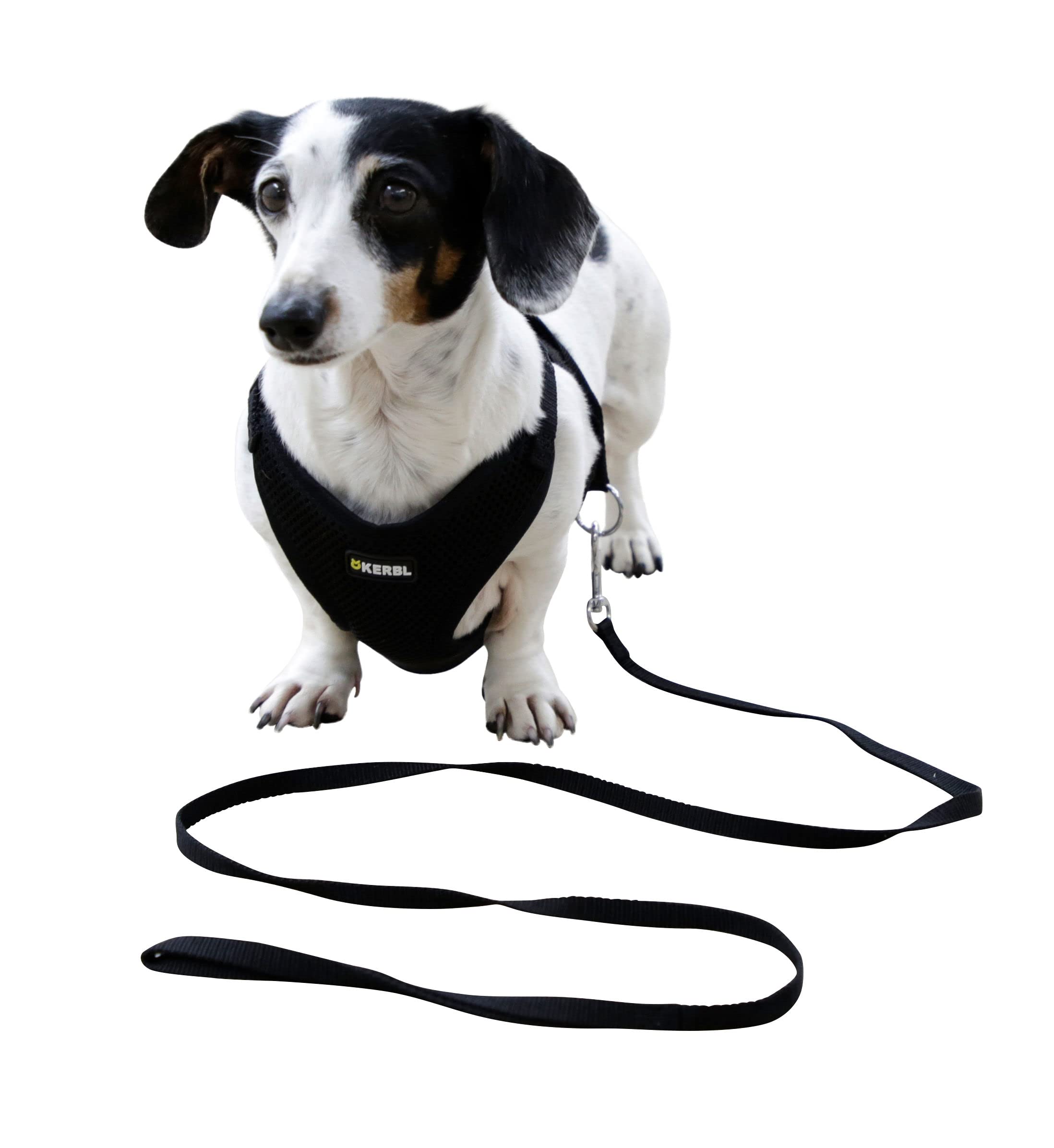 kerbl-pet-harnais-pour-chiots-noir-24-44-cm-10-mm-lot-de-3 image 1