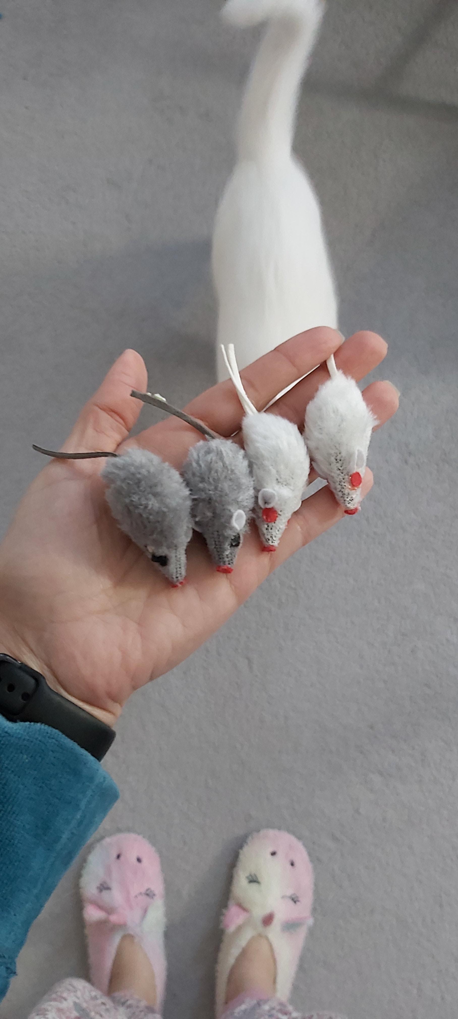 Bon petit jouet de chasse