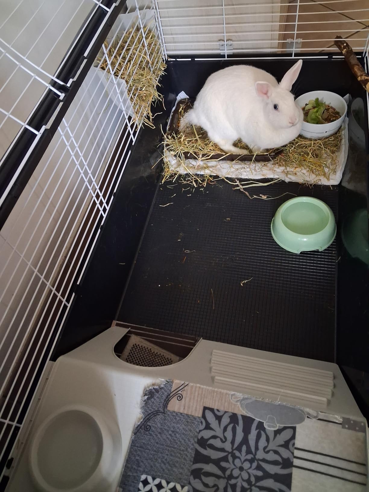 Super enclos pour mon lapin