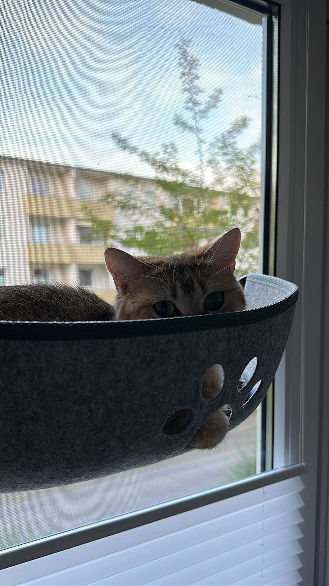 Confort au soleil