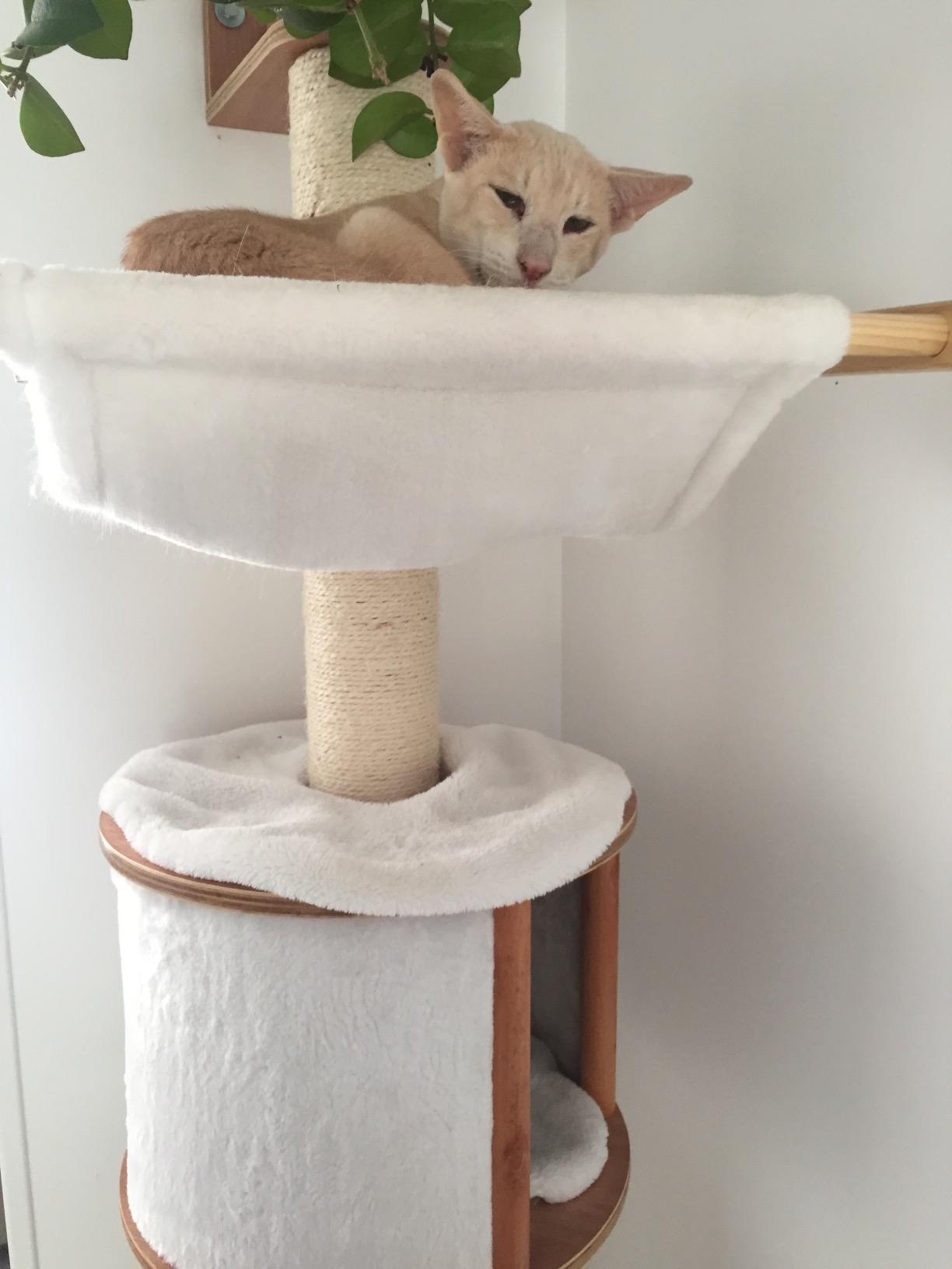 Discret et adoré