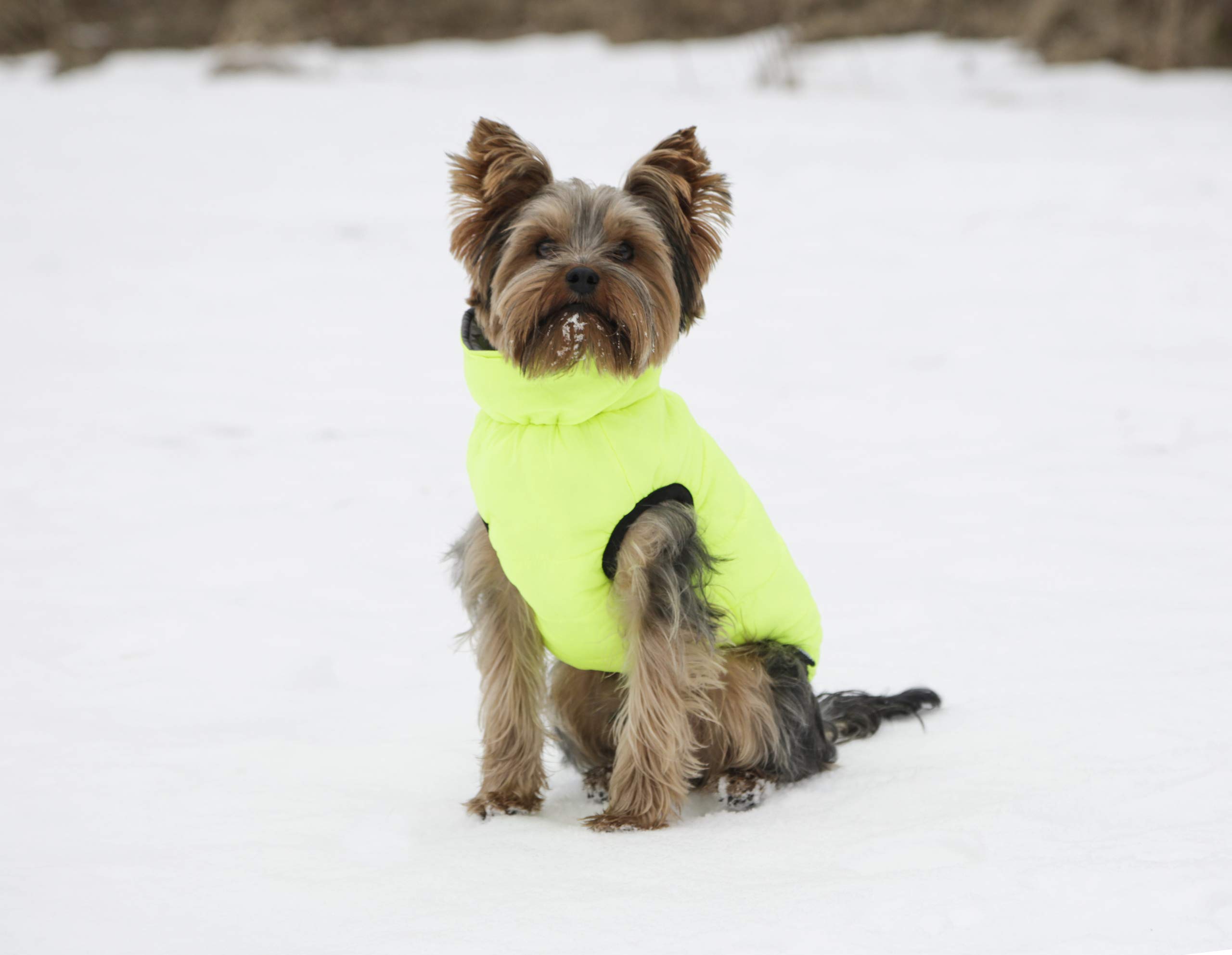 kerbl-pet-manteau-matelass-charmonix-gris-jaune-taille-l-45-cm image 5