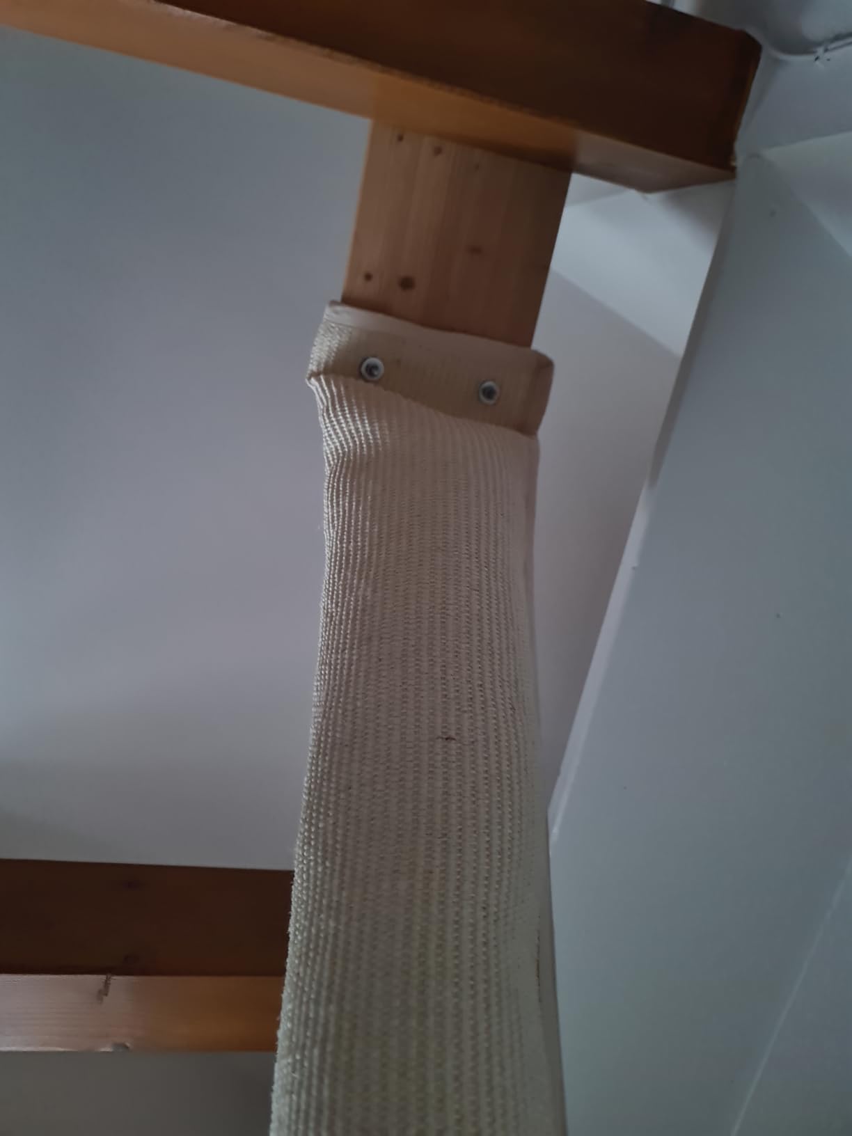 Génial pour chat actif