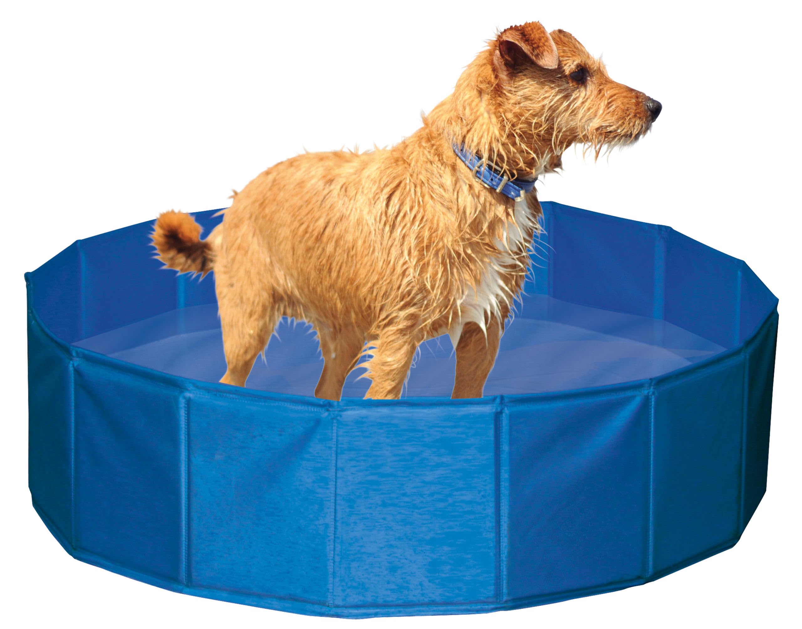 kerbl-82262-piscine-pour-chien-120-cm-hauteur-30-cm-255-l image 2