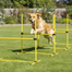 pawhut-kit-agility-4-haies-r-glables-pour-chiens-avec-sac-jaune image 3
