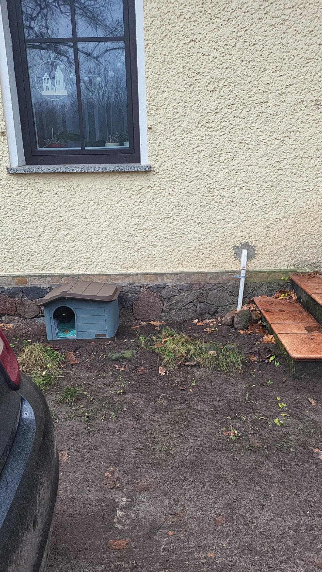 Mon chat boude l'entrée