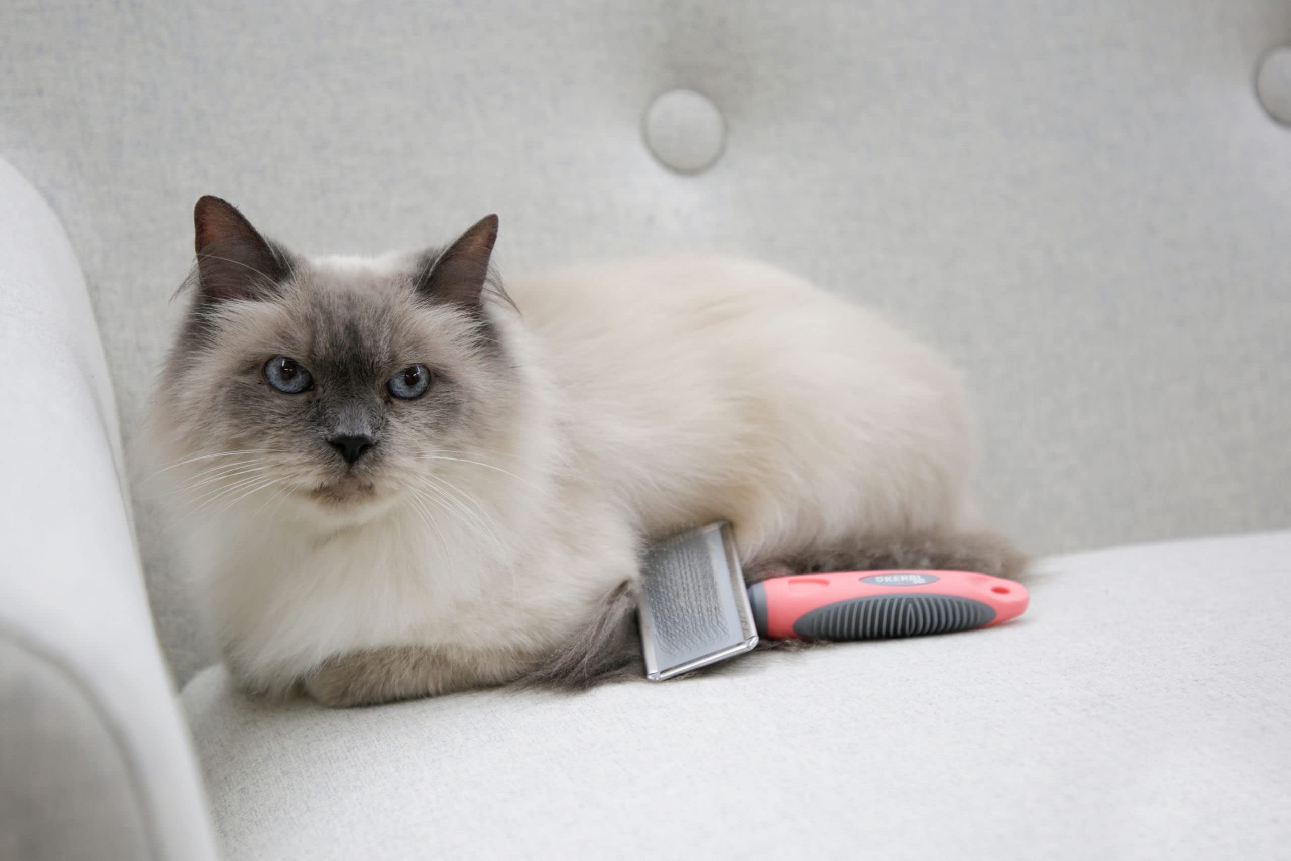 kerbl-carde-douce-corail-gris-16x6-cm-brosse-d-m-lante-chien-chat image 2