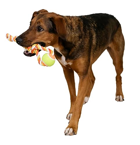 kerbl-pet-jouet-balle-avec-corde-coton-orange-jaune-37-cm image 4