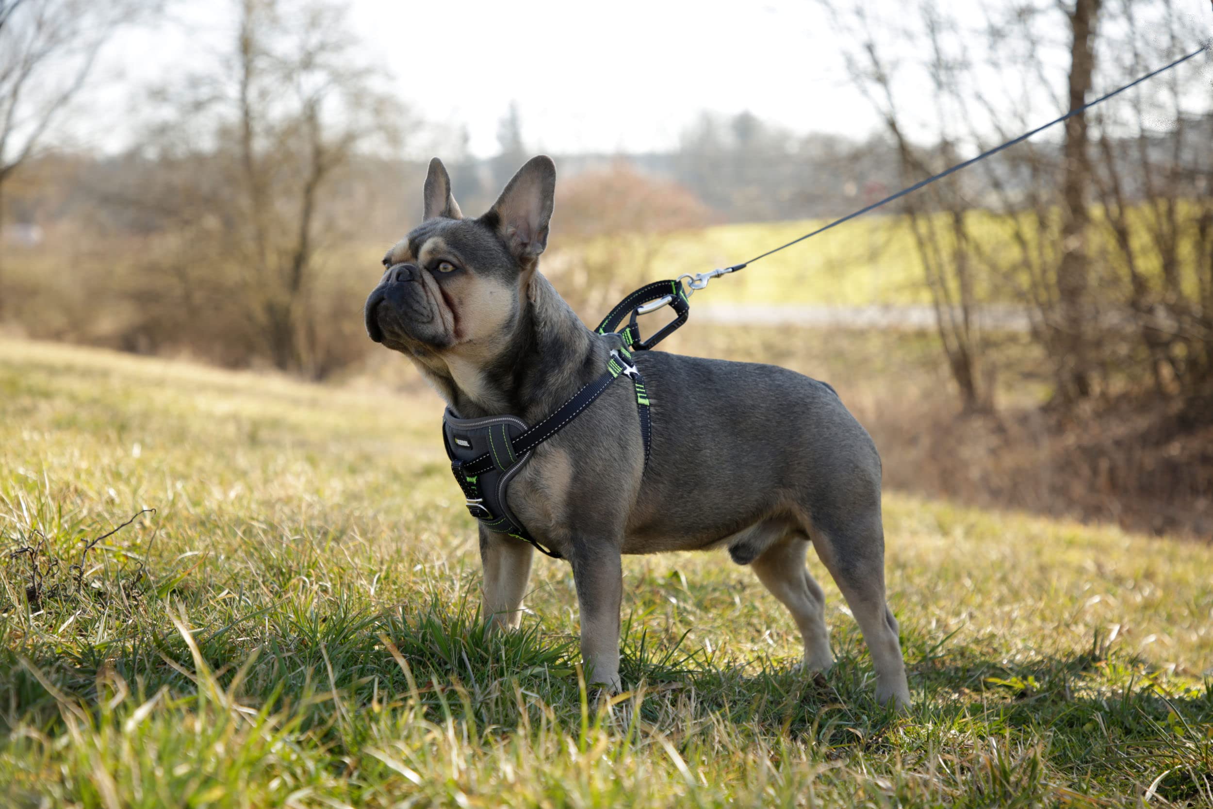 kerbl-harnais-pour-voiture-chien-noir-50-65-cm-20-mm image 6