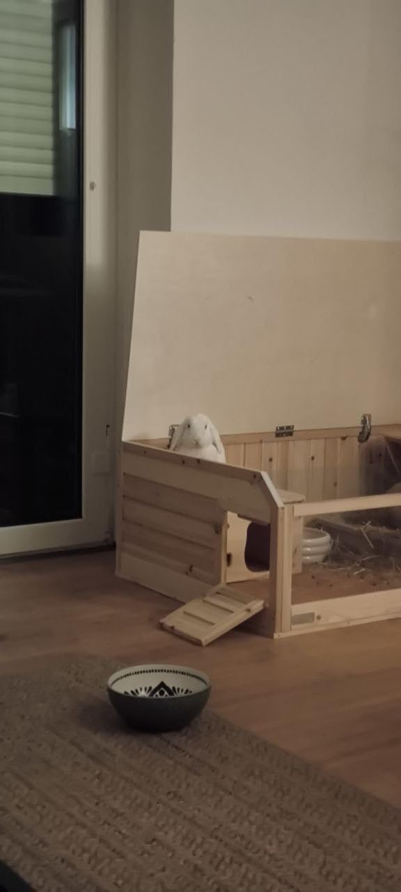 Palais pour mes cochons d'Inde
