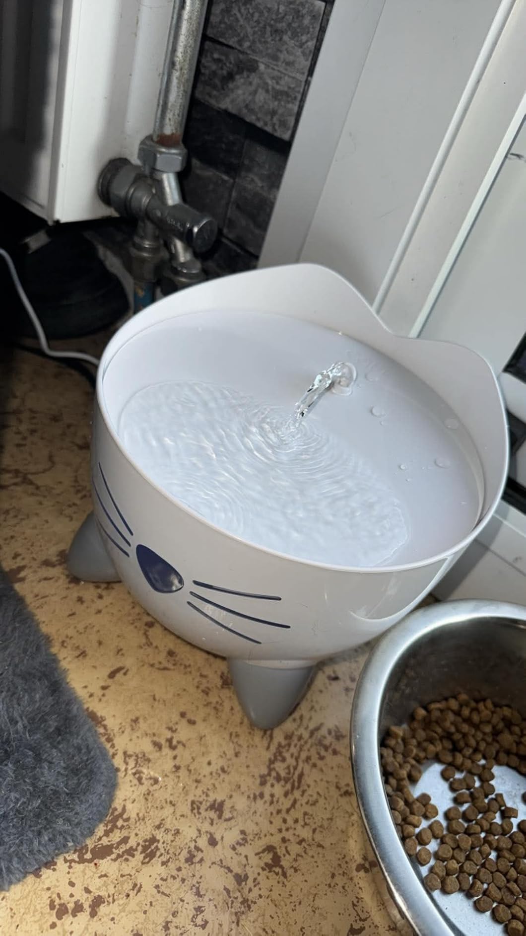 Idéale pour chat âgé