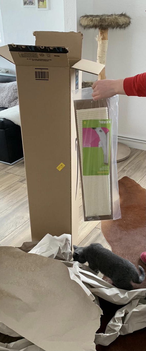 Enfin il délaisse le canapé
