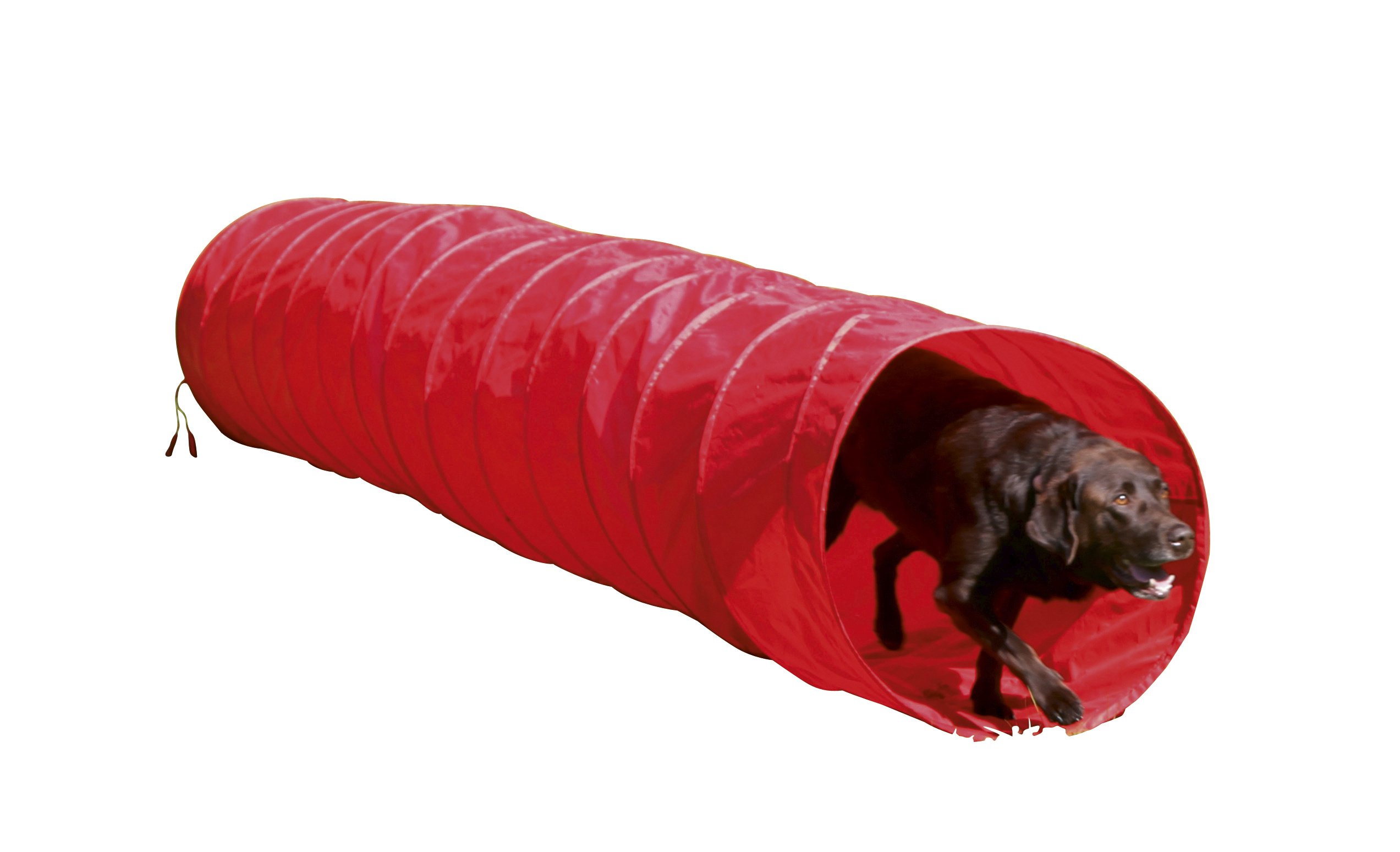 kerbl-tunnel-agility-rouge-60-cm-5-m-pour-chien image 3