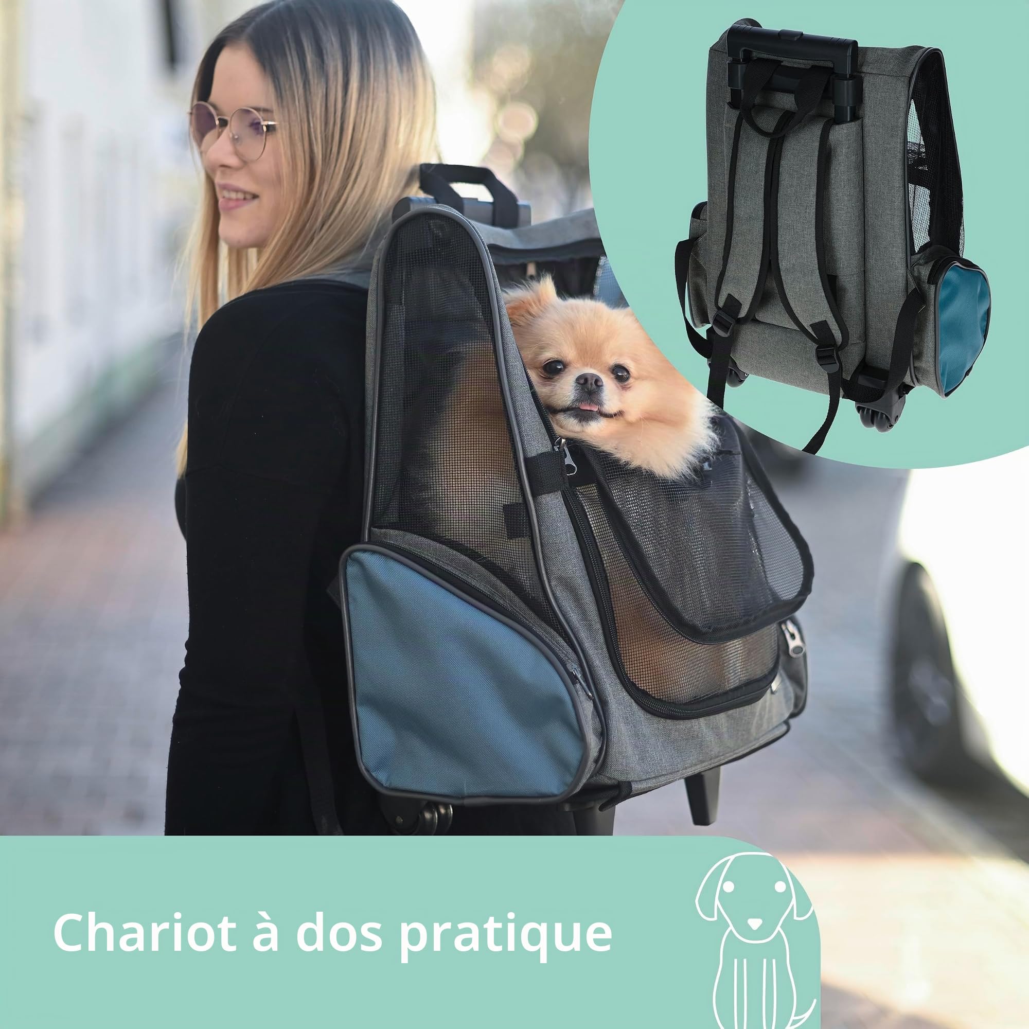 kerbl-pet-vacation-chariot-de-transport-pour-chien-et-chat-41x26x55-cm-gris-bleu image 3