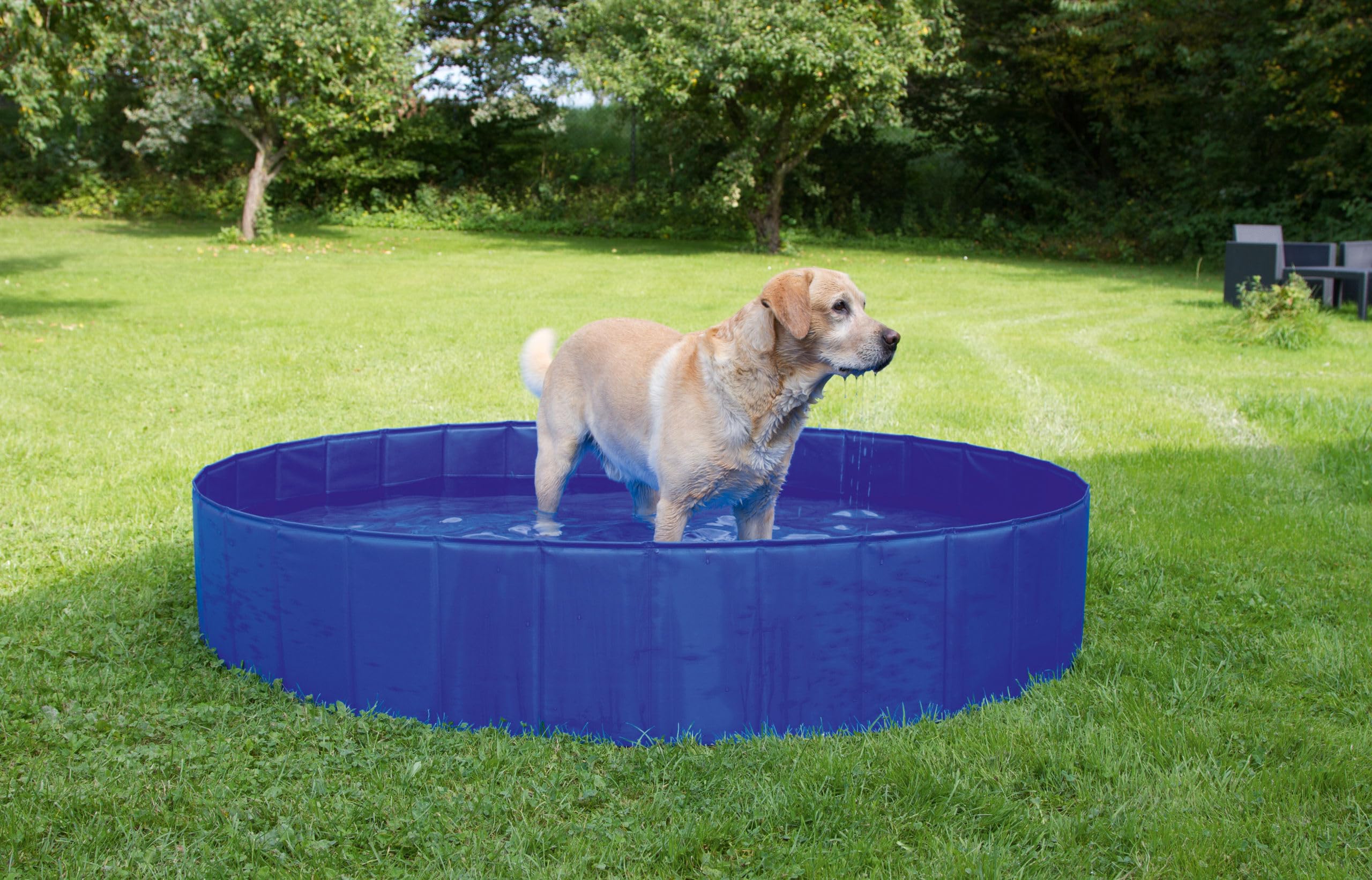 kerbl-82262-piscine-pour-chien-120-cm-hauteur-30-cm-255-l image 5