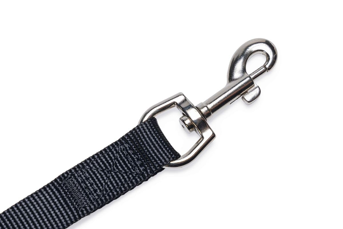 flamingo-karlie-cha-ne-couple-nylon-pour-chien-noir-50-x-2-cm image 6