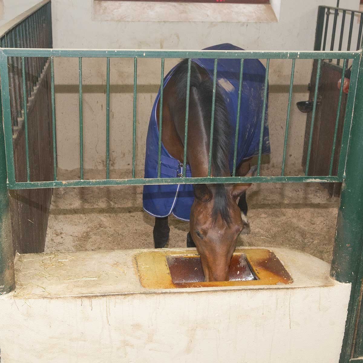 kerbl-10810-cam-ra-ip-2-0-hd-wi-fi-avec-vision-nocturne-ip65-pour-surveillance-a image 3
