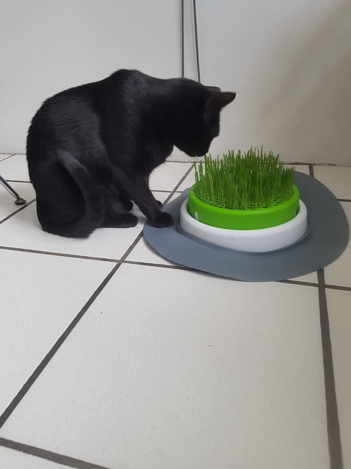 Pratique en appartement
