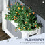 pawhut-abri-chat-ext-rieur-toit-imperm-able-multi-entr-es-gris image 7