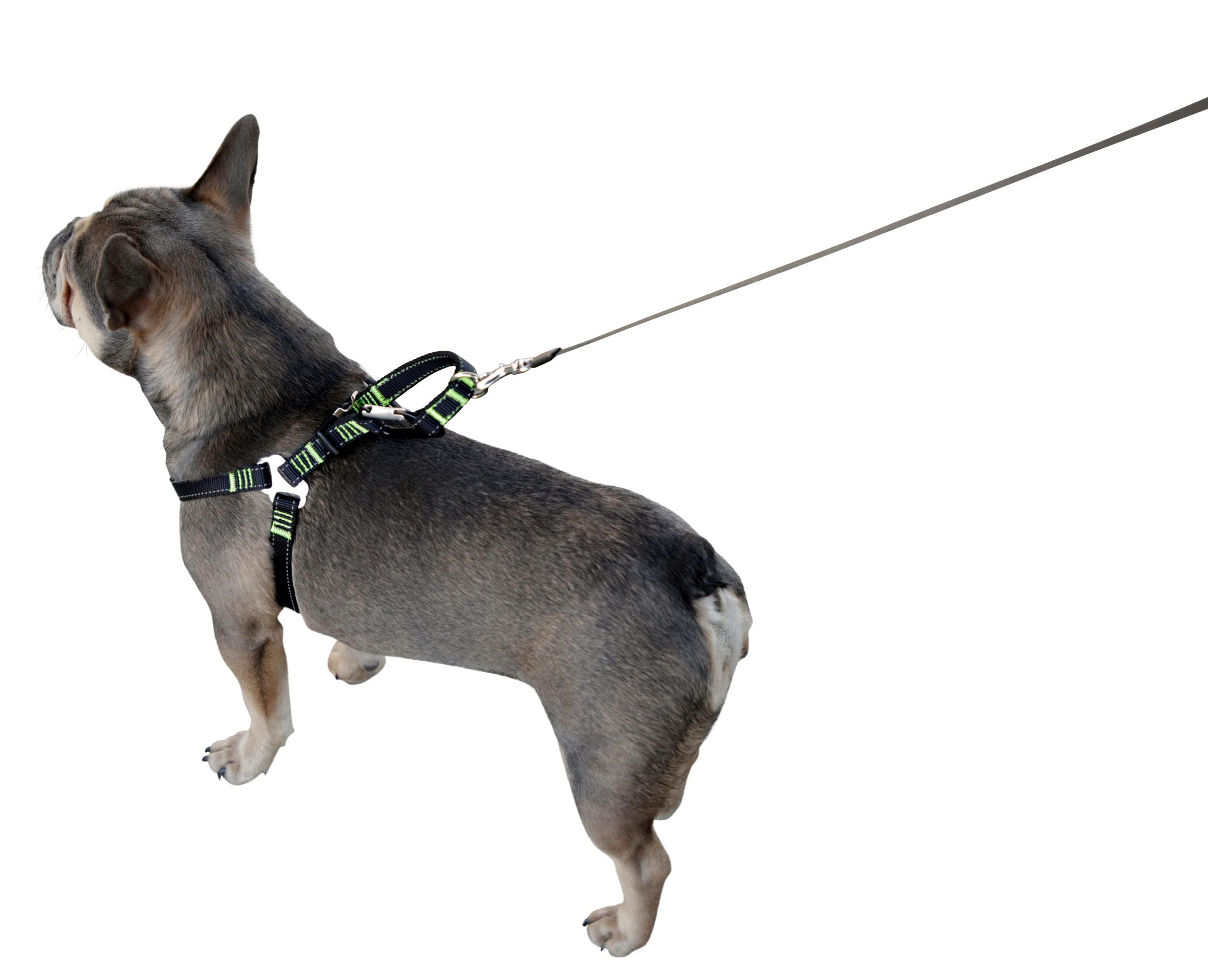 kerbl-harnais-pour-voiture-chien-noir-50-65-cm-20-mm image 3