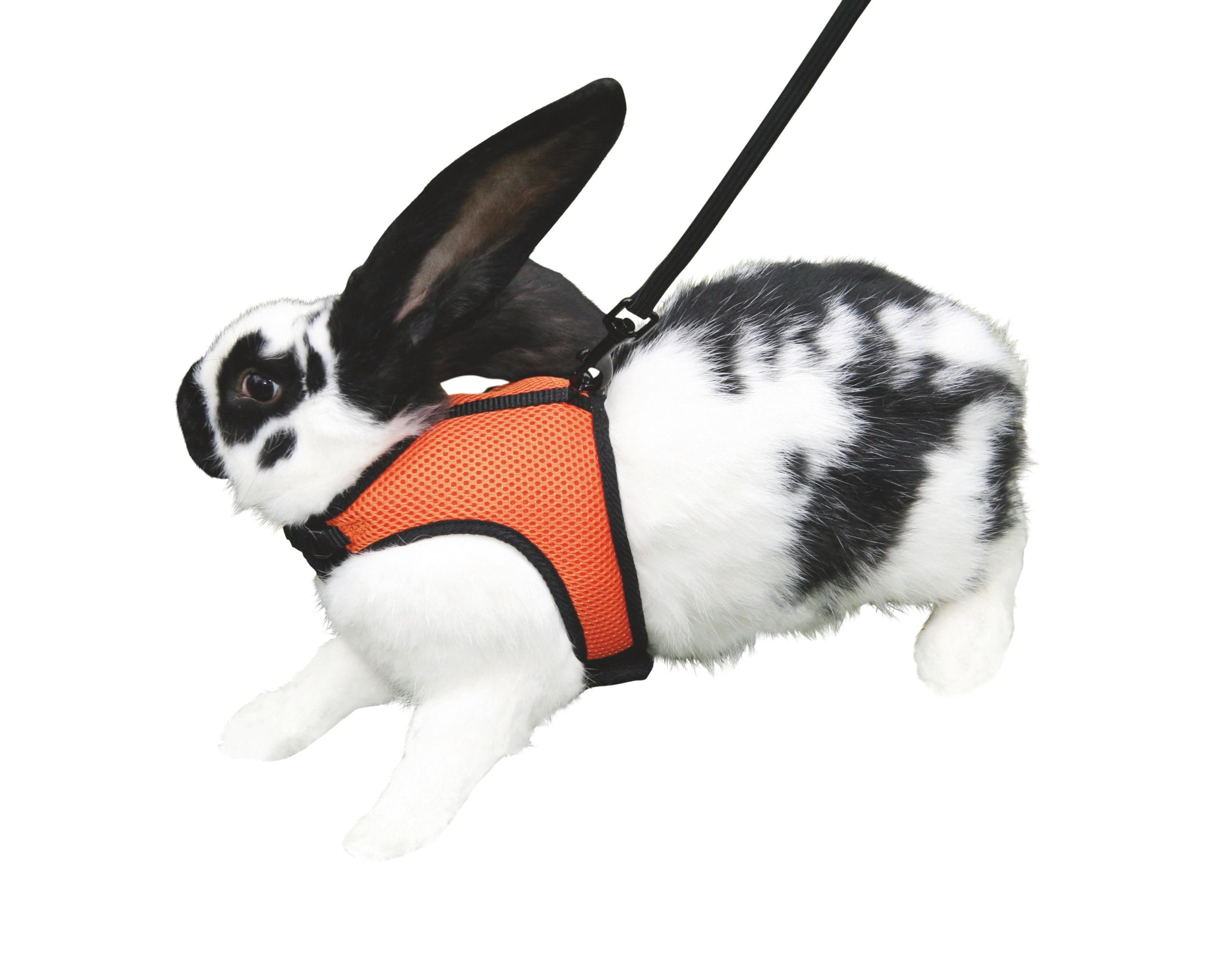 kerbl-harnais-pour-rongeurs-sport-22-30-cm-mesh-avec-laisse-120-cm image 2