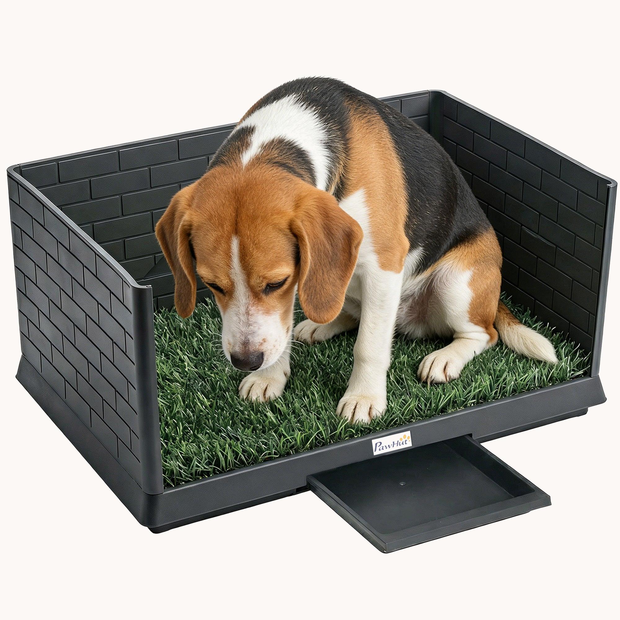 pawhut-tapis-d-herbe-pour-chien-d-int-rieur-76-x-51-x-36-cm-avec-murs-anti-clabo image 1