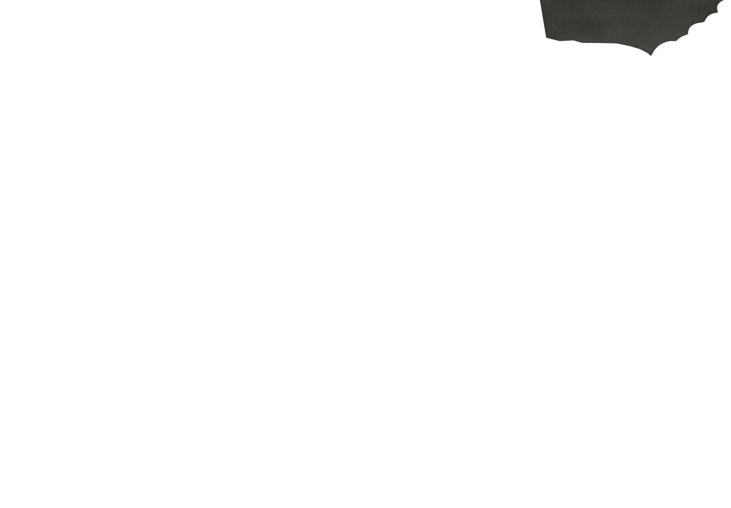 kerbl-pet-sol-en-nylon-noir-pour-enclos-82704-82833 image 5