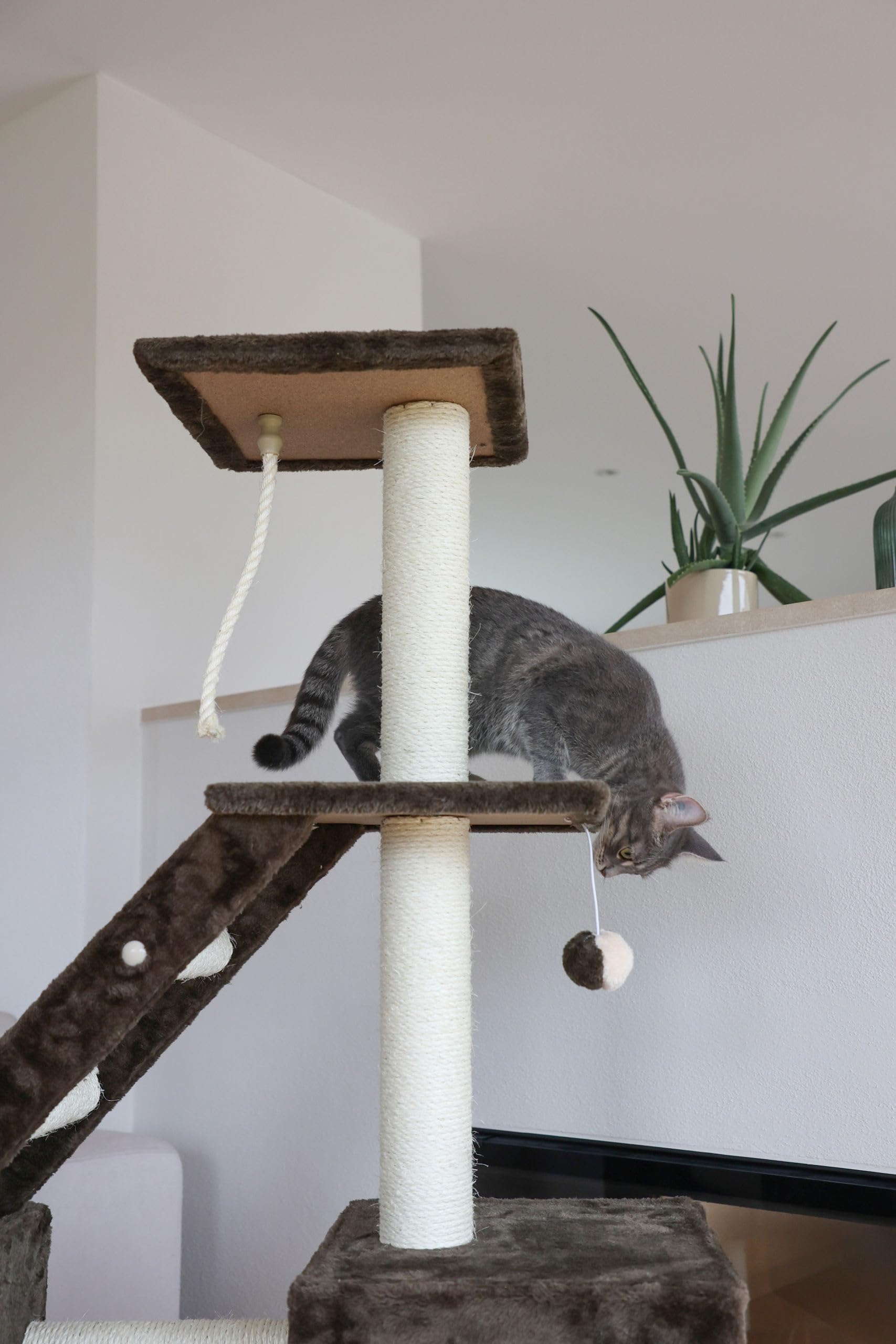 kerbl-arbre-chat-granat-150-cm-avec-2-niches-hamac-et-jeux image 6