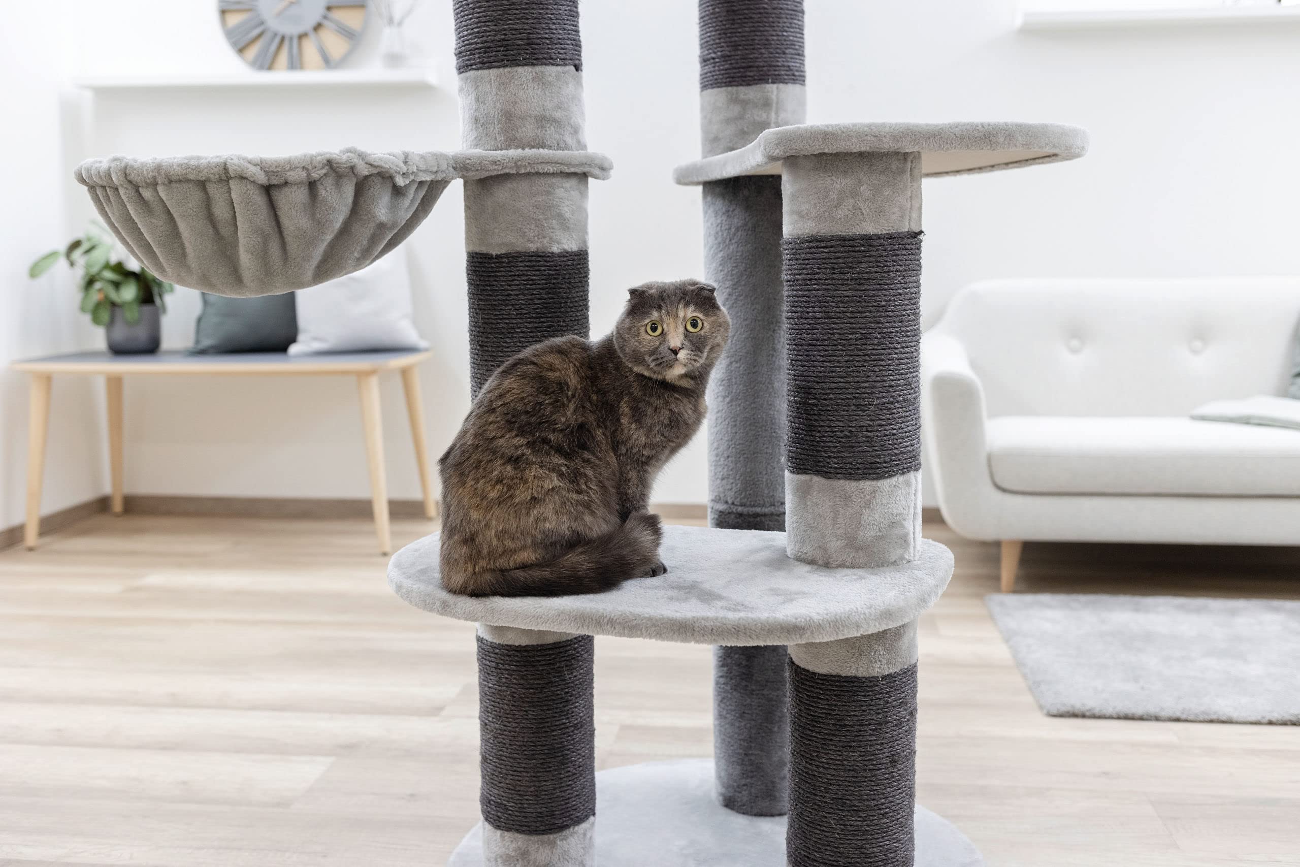 kerbl-pet-arbre-chat-benji-70x70x146-cm-pour-grands-chats image 5