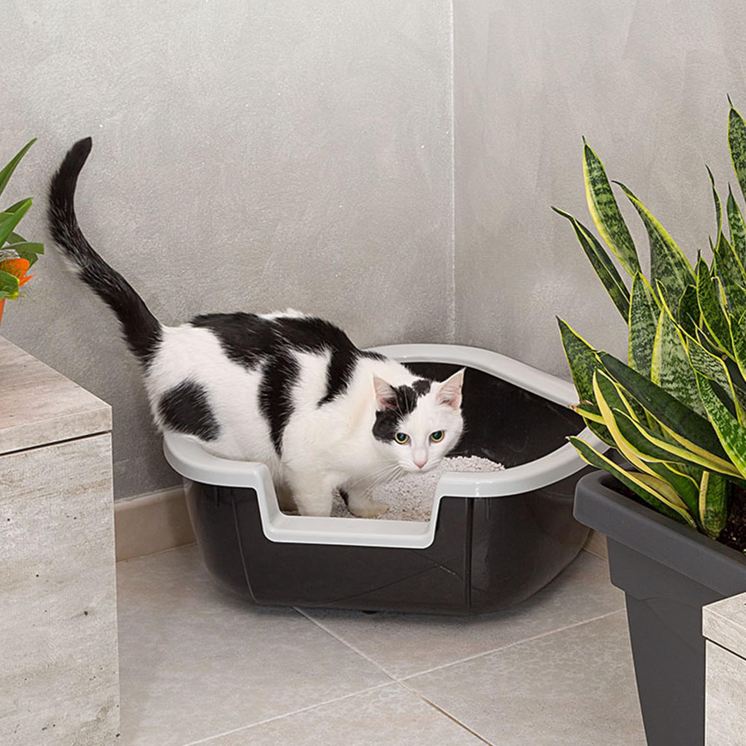 ferplast-dama-bac-liti-re-d-angle-pour-chat-57-5-x-51-5-x-h-22-cm-noir image 2