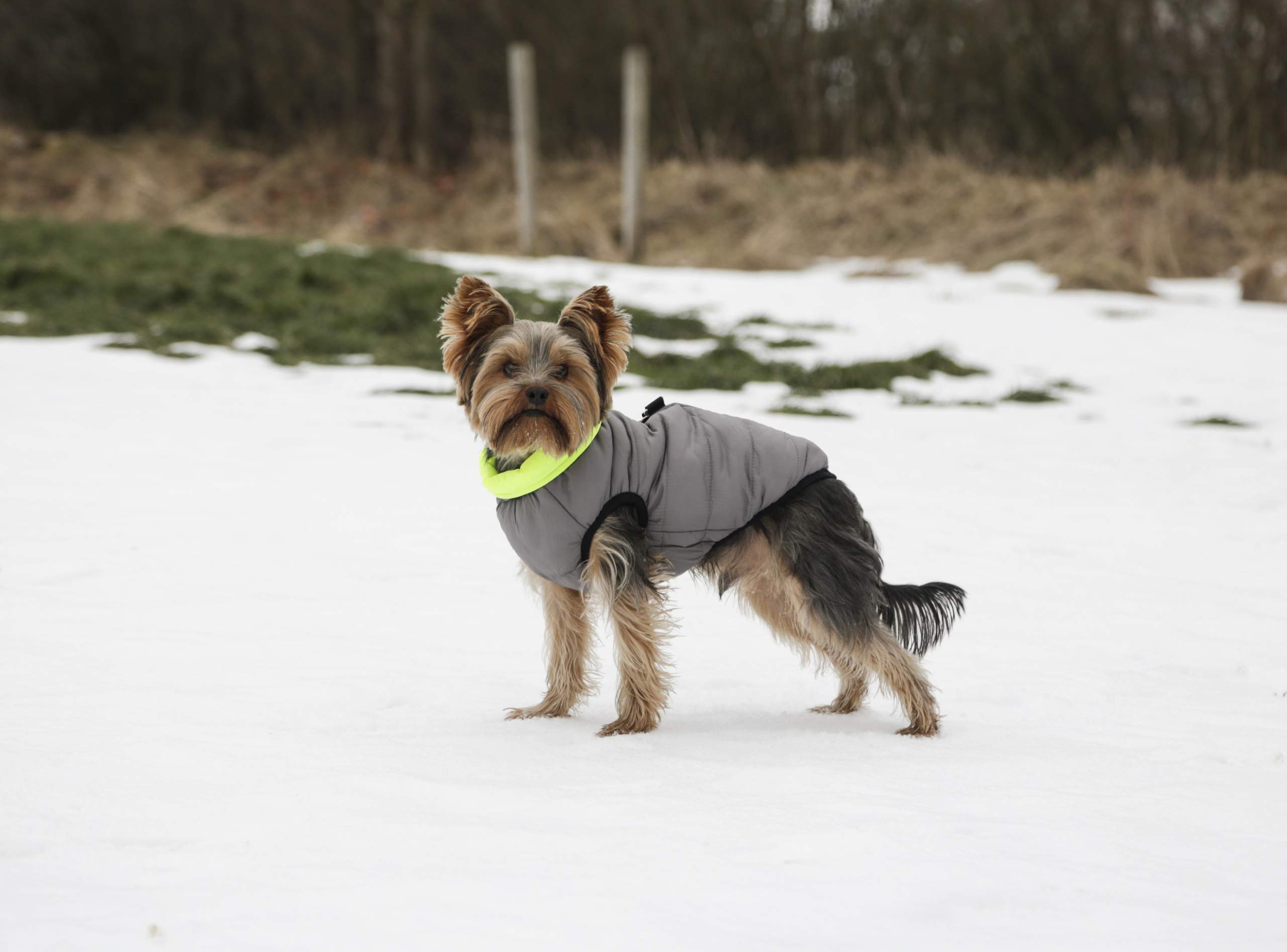 kerbl-pet-manteau-matelass-charmonix-gris-jaune-taille-l-45-cm image 2