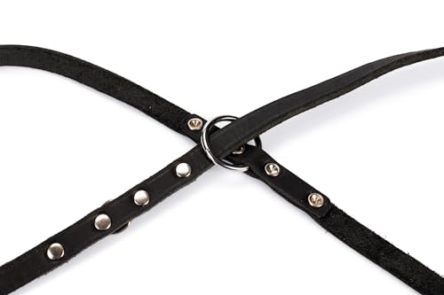 karlie-rondo-laisse-en-cuir-avec-rivets-pour-chien image 8