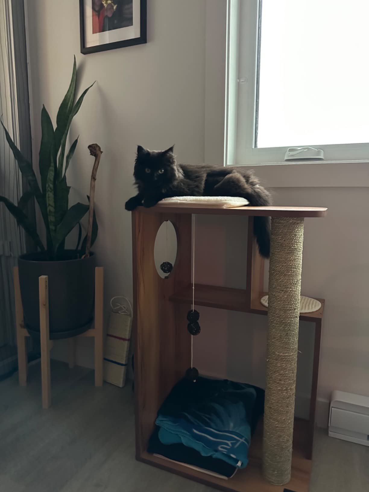 Qualité Vesper au top