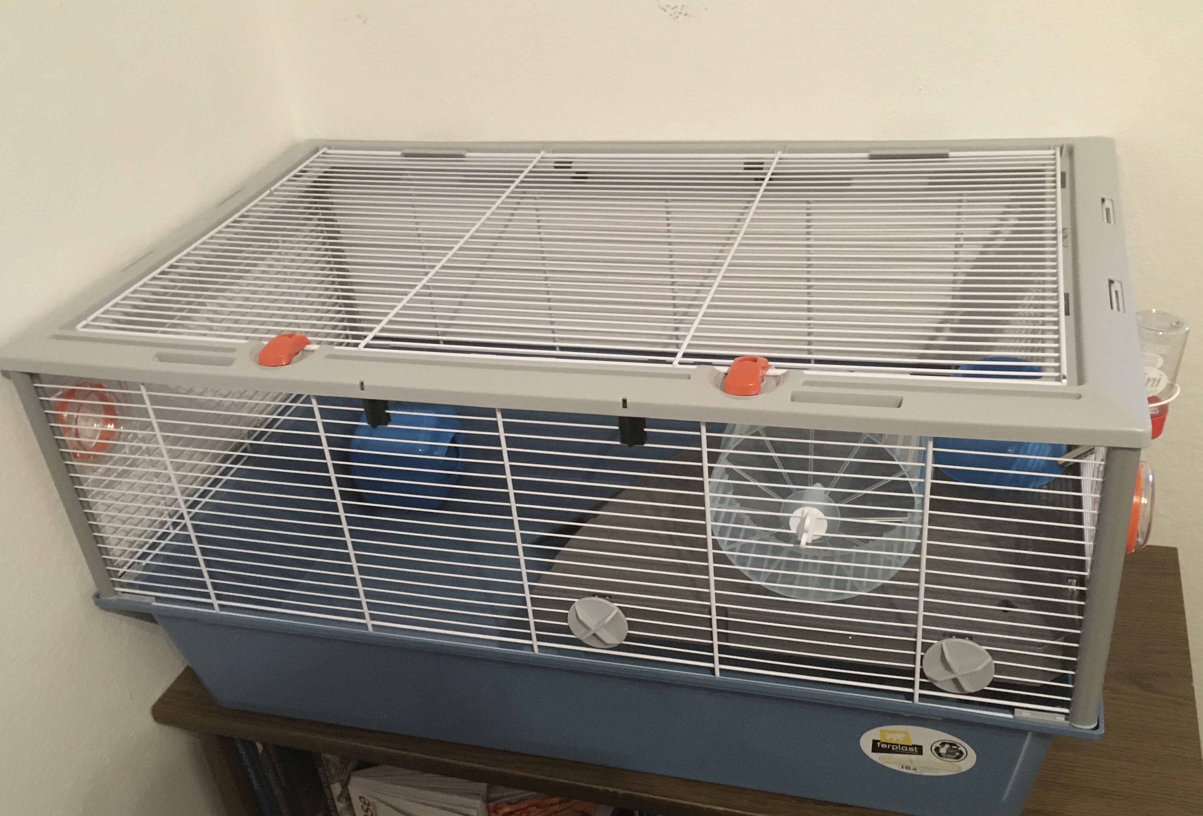 Parfaite pour mon hamster doré
