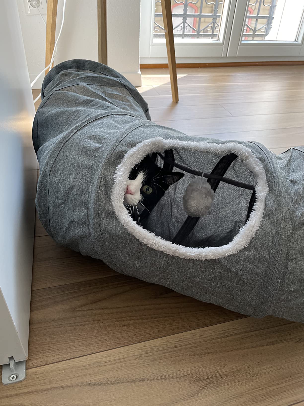 Sympa mais pour petits chats