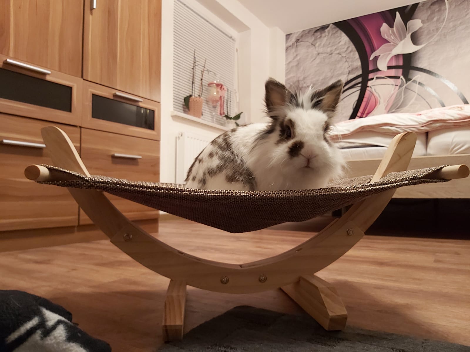 Mon chat boude, tissu glissant