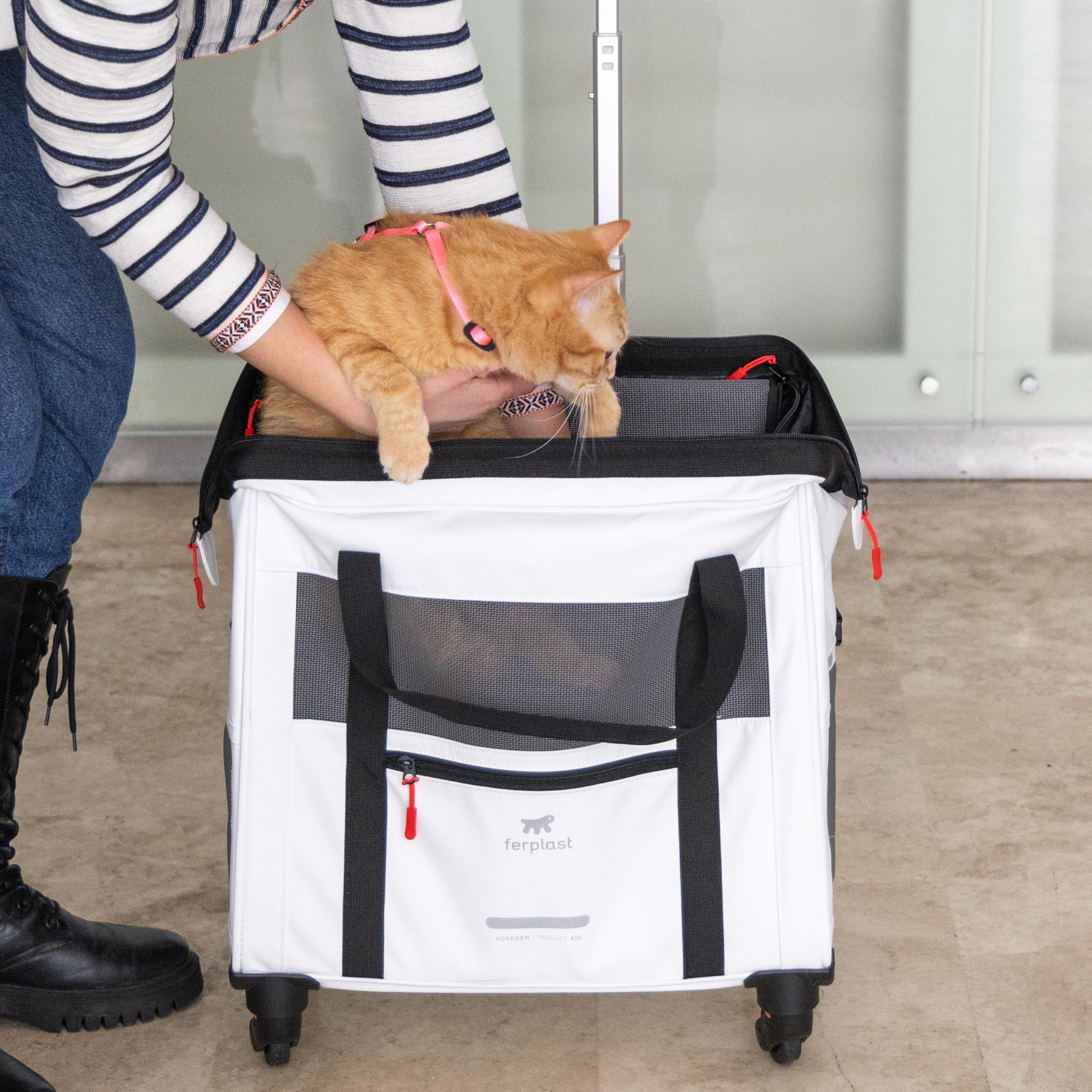 ferplast-voyager-trolley-sac-de-transport-chien-et-chat-roulettes-co-cuir-blanc- image 4