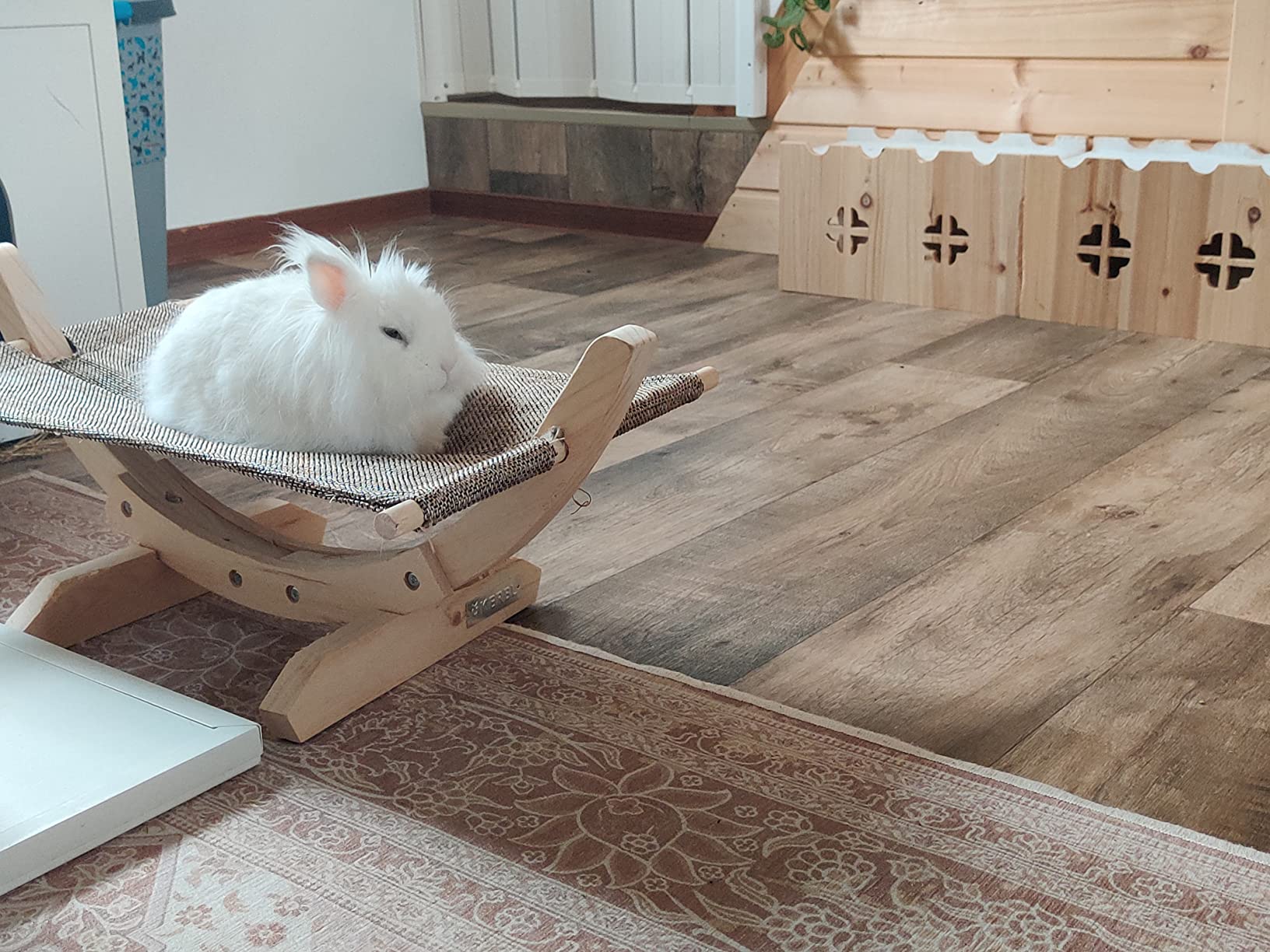 Bien mais petit pour gros chat