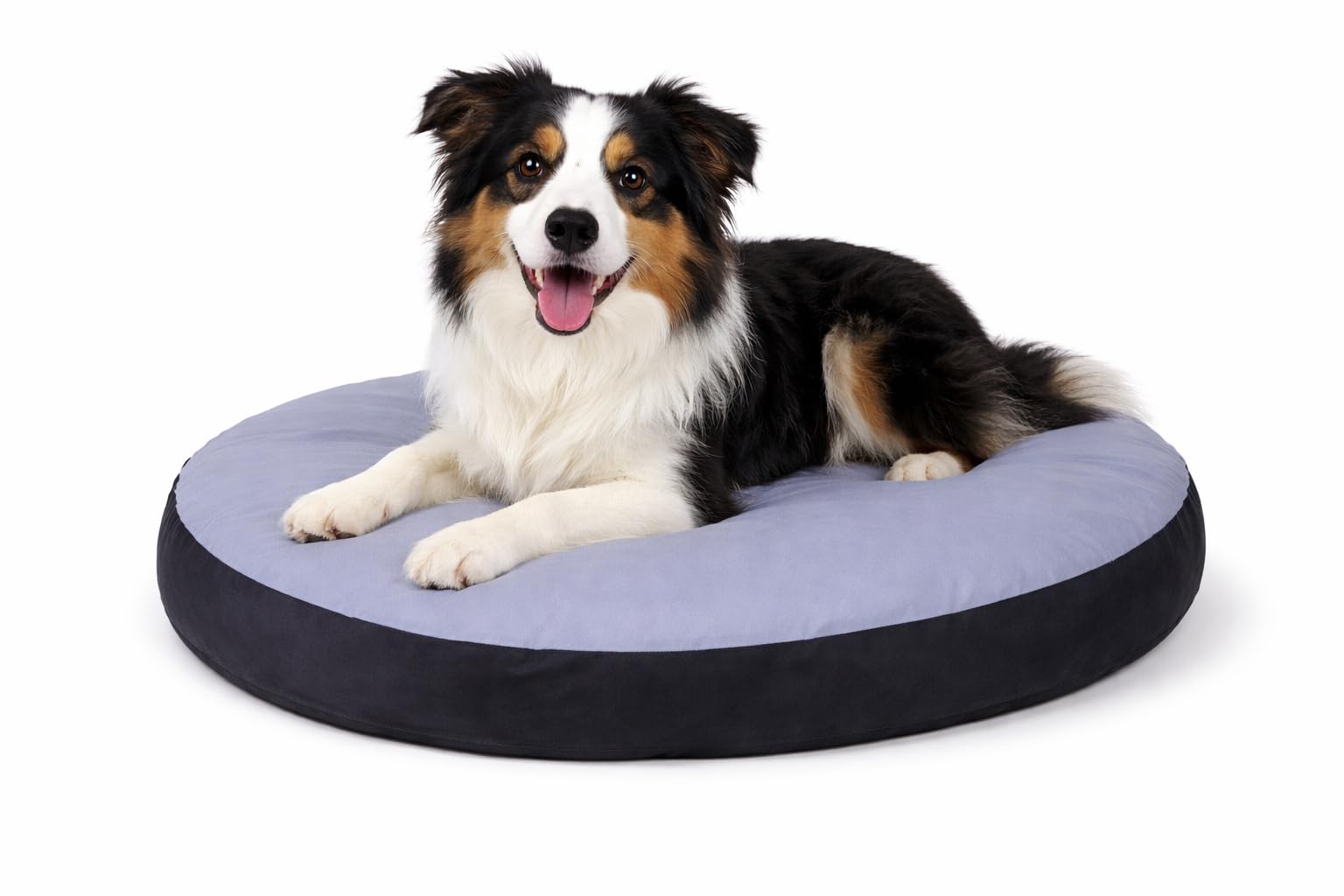 karlie-coussin-ovale-dog-bed-50-x-40-x-8-cm image 5