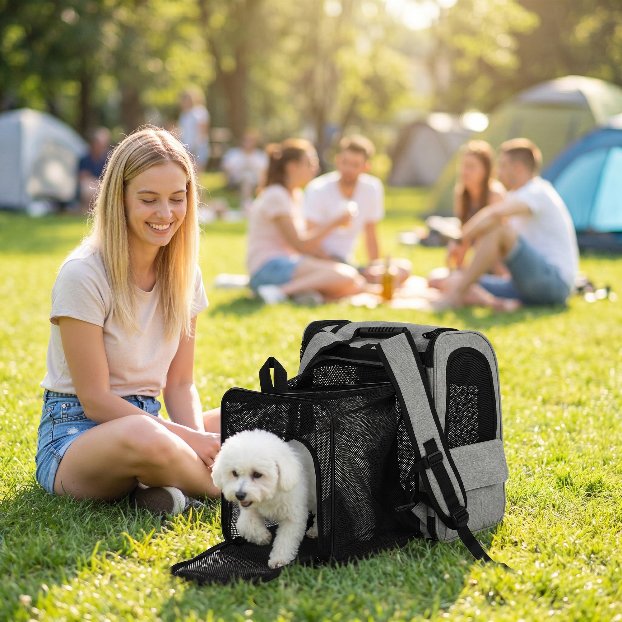 pawhut-sac-de-transport-extensible-avec-bandes-r-fl-chissantes-gris-clair image 3