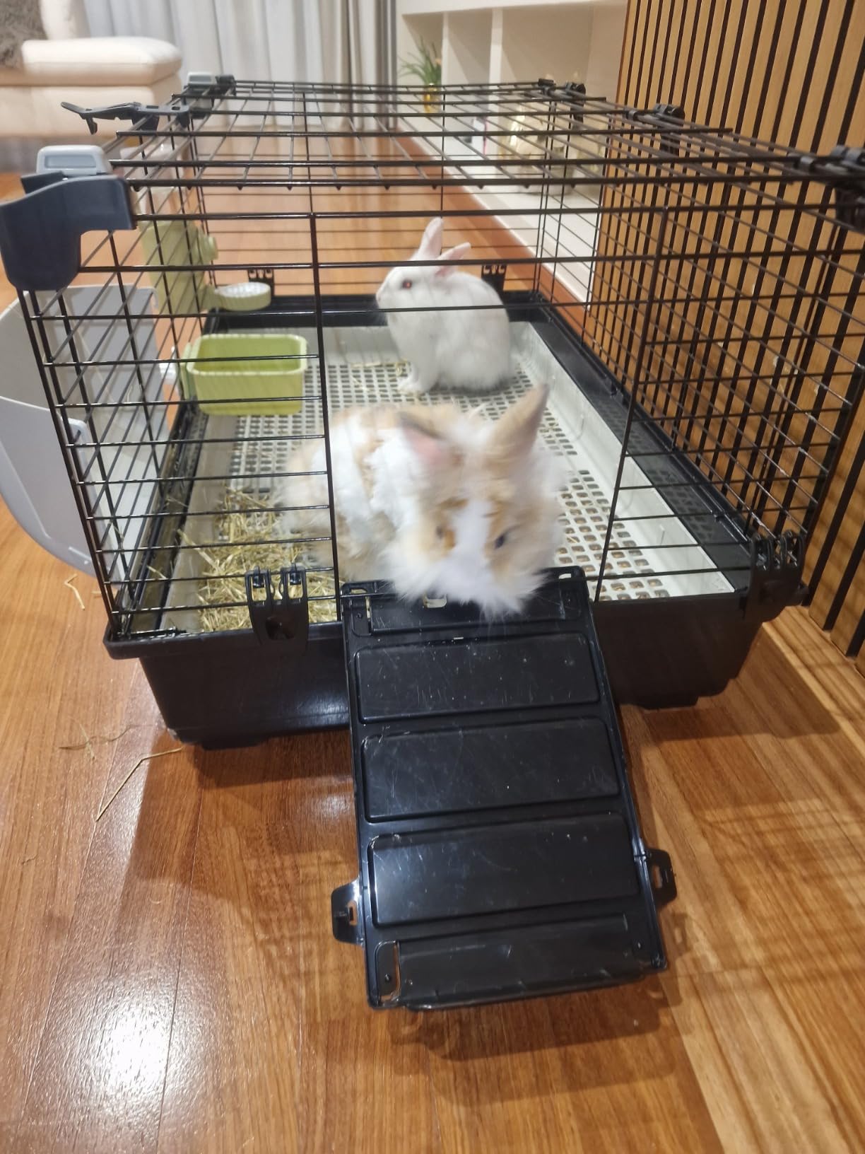 Grande cage