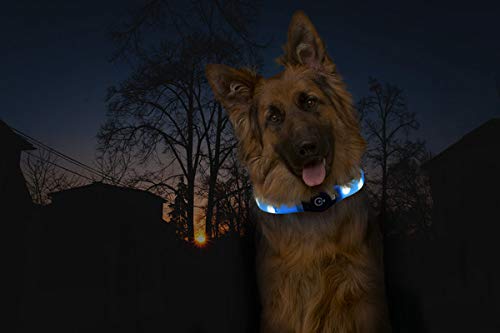 karlie-visio-light-led-pour-chiens-poils-longs-jaune-l-65-cm-x-2-5-cm image 8