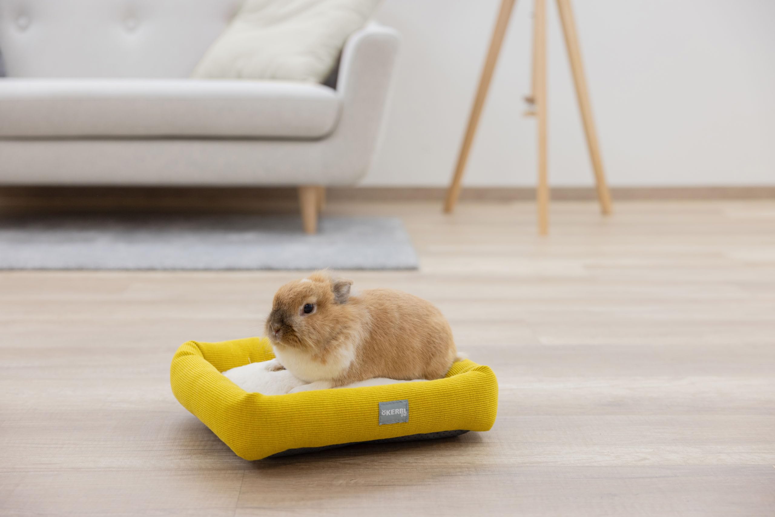 kerbl-lit-douillet-pour-rongeurs-et-petits-animaux-blanc-jaune-36-x-32-x-7-cm image 5